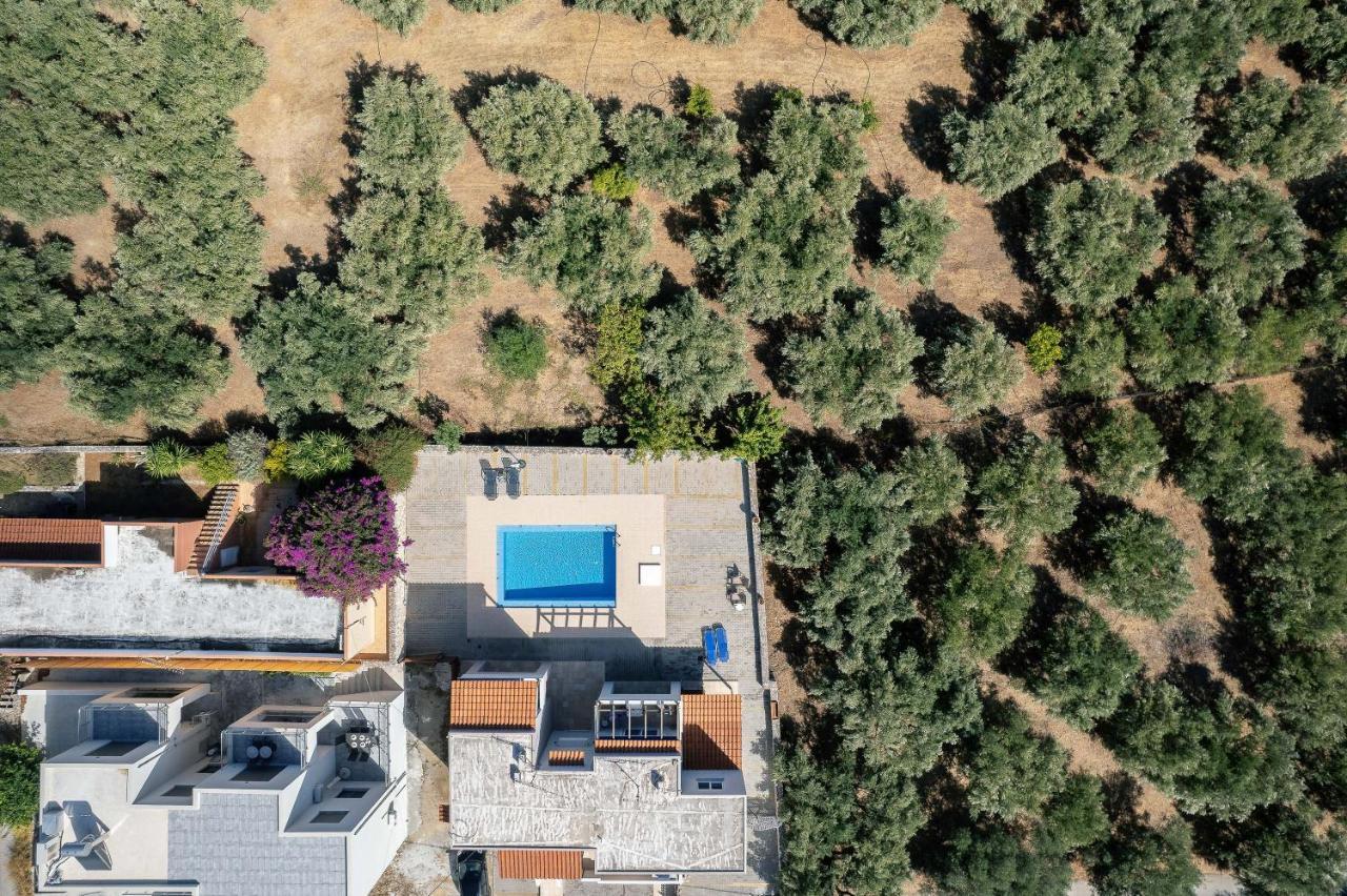 Greek Sky - New Modern Apartment With Shared Pool Tavronitis Dış mekan fotoğraf